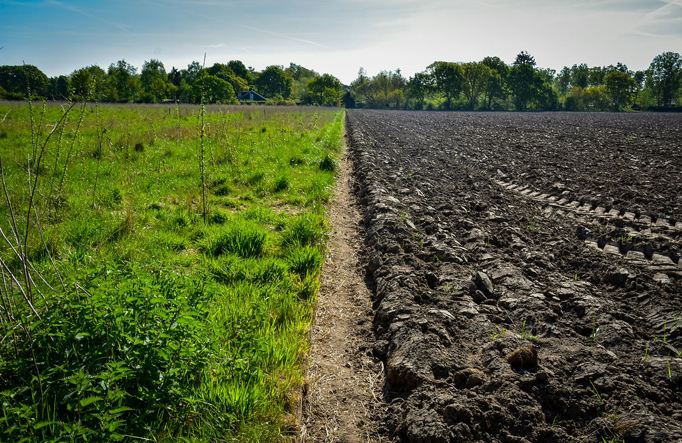 Rich Poor Farming