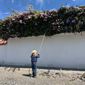 GUATEMALA PART I 