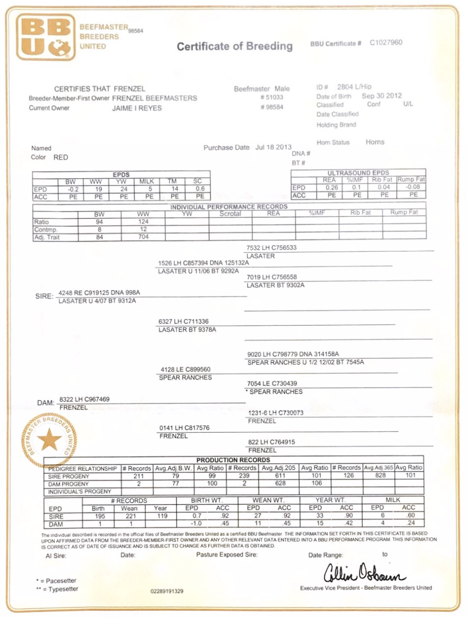 Screen Shot 2019-06-17 at 2.13_edited.png