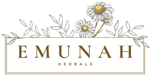 emunah logo (1)_edited.png