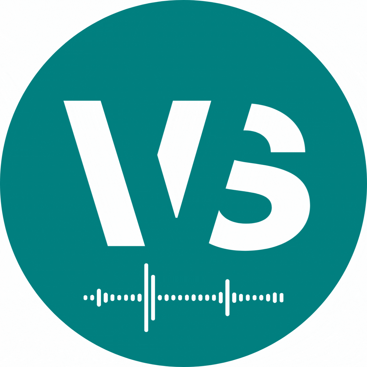 vVs (2).gif