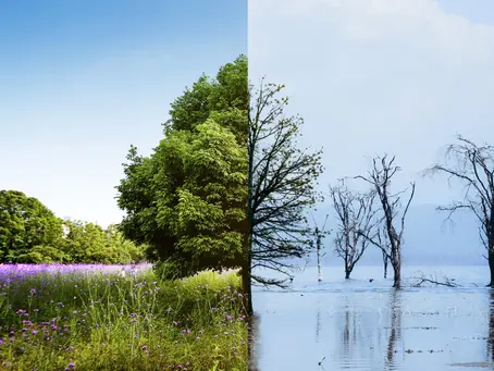 Climate change concept collage