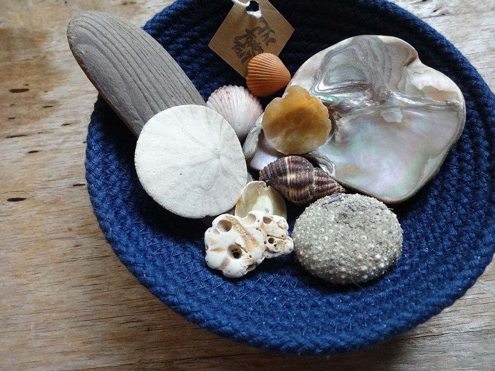Thumbnail: Large: USA Made Cotton Rope Bowl