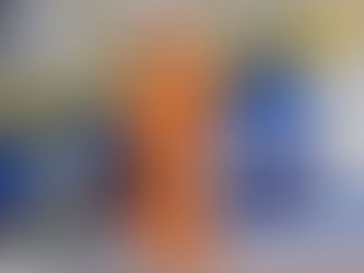 Why Sports Mascots are a Game-Changer for Fan Engagement