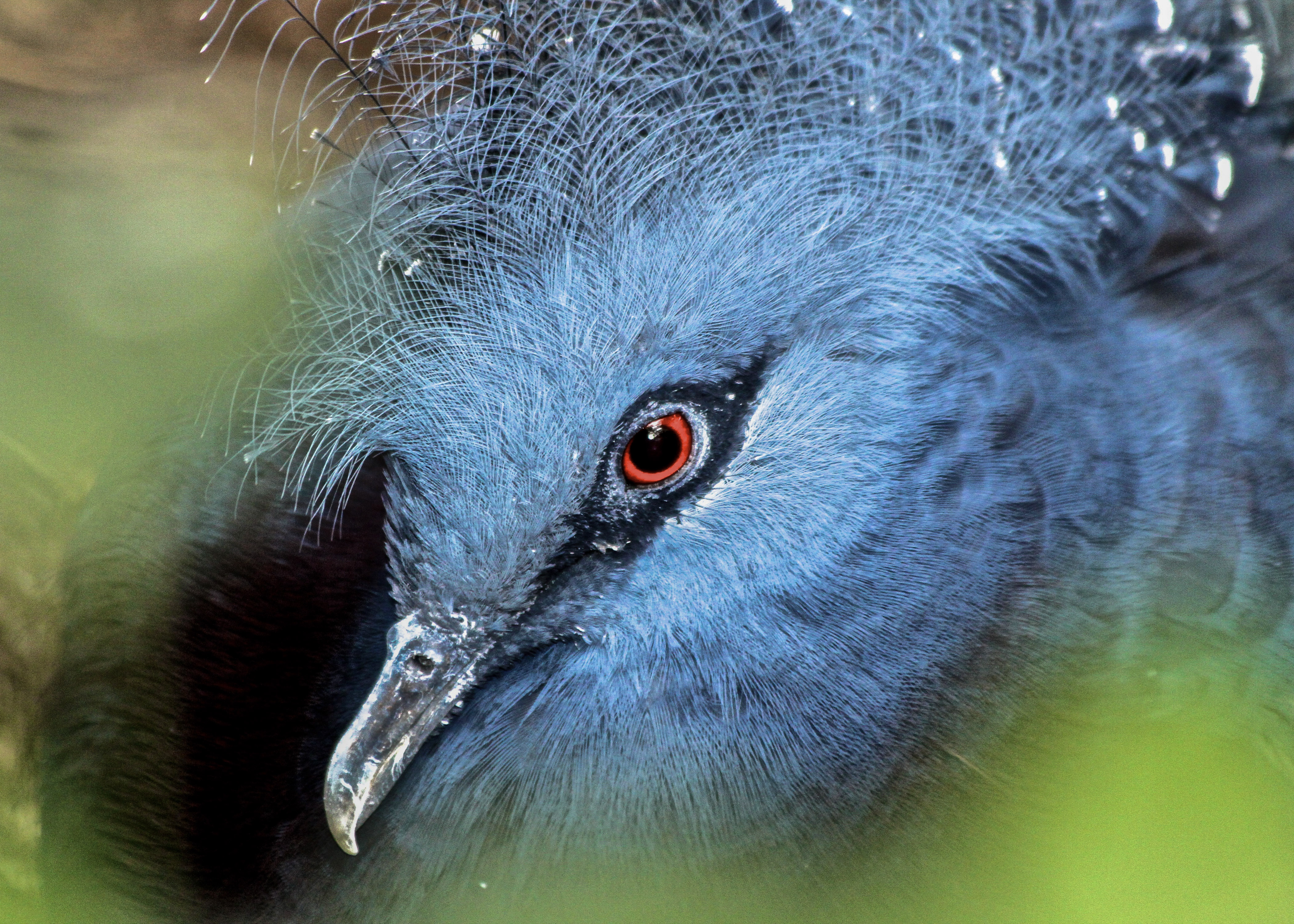 Woman with artichoke.jpg