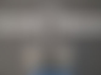 Considering Free Will