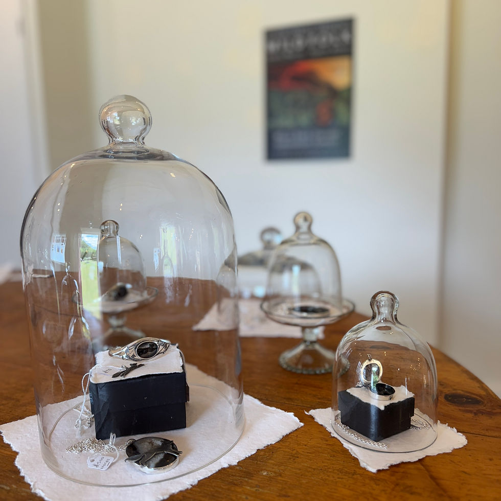 My work, beautifully displayed by Davina.