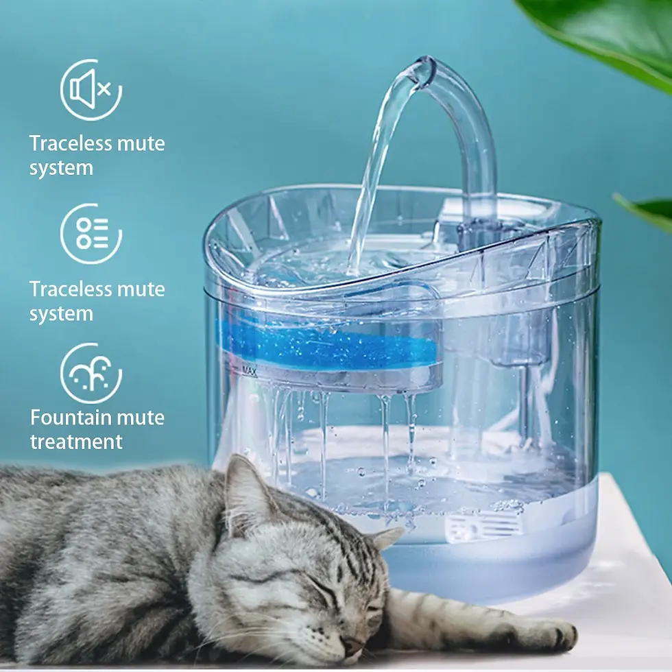 Miniatura: THE BEST Automatic Water Transparent Dispenser for Dogs