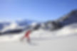 Ski de fond