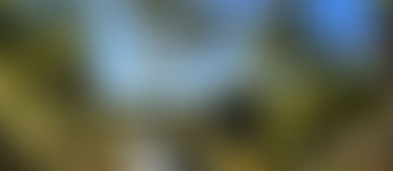 RBG Trails in Burlington