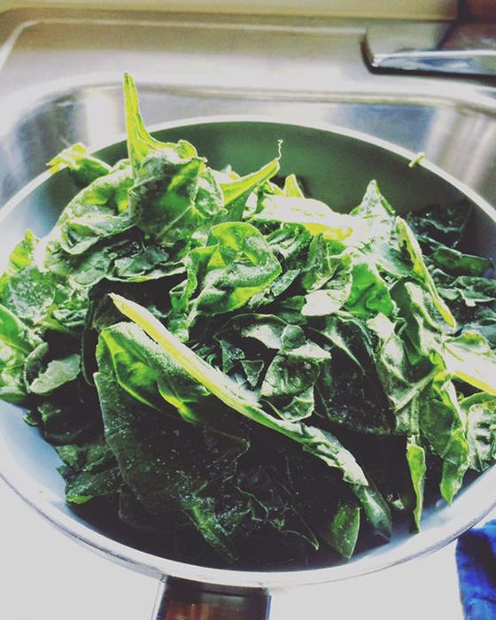 HOW TO STORE YOUR SPINACH FOR LATER USE.