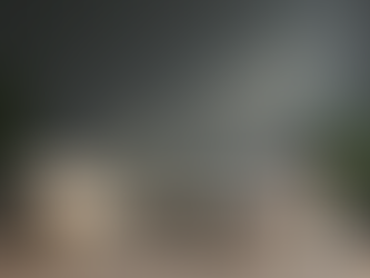 Gelibolu Avukatlık Bürosu: Hızlı ve Güvenilir Hukuki Danışmanlık