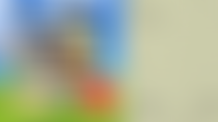 The Summer We Sidequested