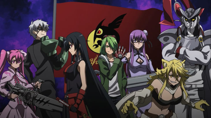 Akame ga Kill! - полный обзор