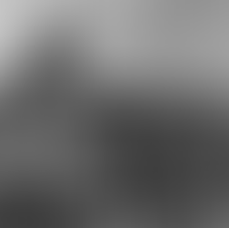 The Story Of The Winchester House