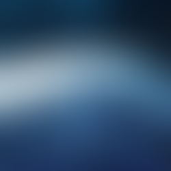 Should Internet Be Free?