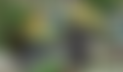 Destruction Of Gang Graves