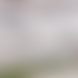 Hurricane Helene Floods East TN Hospital