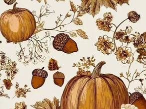 What are You Thankful for This Year