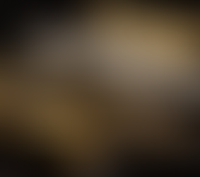 The Saxophone Section