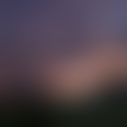 Farragut VS. Powell Girls Soccer