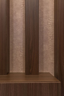 hall-luxo-detalhe-em-couro