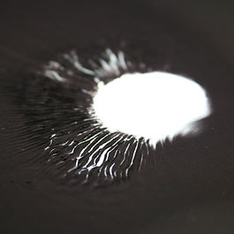 TIMELAPSE SPORE PRINT Stropharia rugosoannulata When identifying mushrooms for consumption, one important indicator of the proper type or species of fungi is reading the dispersion of spores over a surface, called a 'spore print'. The color is an identifying characteristic that usually follows the identification of the mushroom morphology (the visual characteristics of the mushroom structure) and gill structure. Stropharia rugosoannulata Spore print 1 (Detail) , 2021. Digital Photograph. The soft impressions left by the mushroom after about 12 hours leave natural gradients of texture of scientific value as well as a being beautiful expressions of art. Not only providing identification, the spores have the potential to spread the fungus, often assisted by the wind or breeze. These images reveal the temporary meaning of life expressed in beautiful form and texture. Stropharia rugosoannulata Spore print 1 , 2021. Digital Photograph.