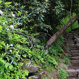 INDEFINITE TIME 2023 The patterns of time, un-resting and divine, will get you into a State of refection on life. Under pressures of sight, we focus on what might be possible or not for our future. Unwise we drive, our mind into the environment but our mind exists beyond it. Distracted and suffering we sit, waiting on our time to shift, but unrelenting, our wait is indefinite. Smoky Mountains: Blooming Pathway, Waterfall, Turbulence , 2023. Digital Photographs.