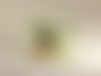 The Potential of Life: Seedlings Exposed