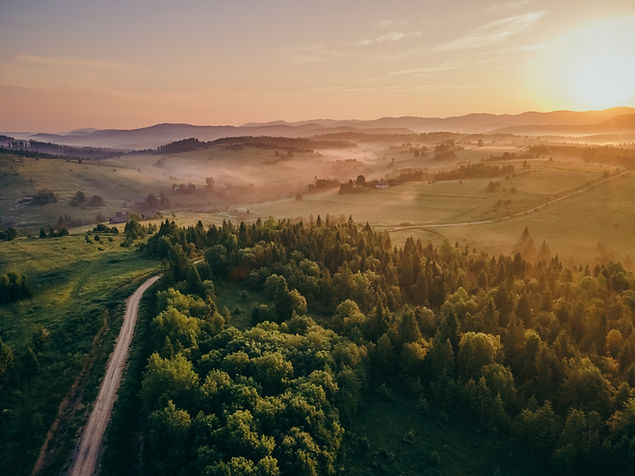 DJI_0556.jpg