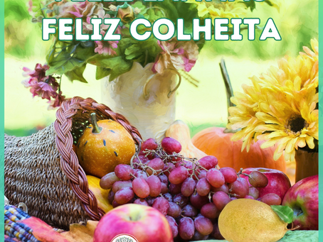 Feliz Lammas - Tempo de Celebrar a Colheita✨