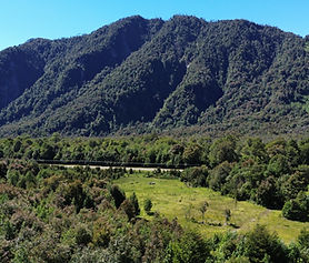 INCREÍBLES 3 HECTÁREAS FRENTE A CARRETERA AUSTRAL