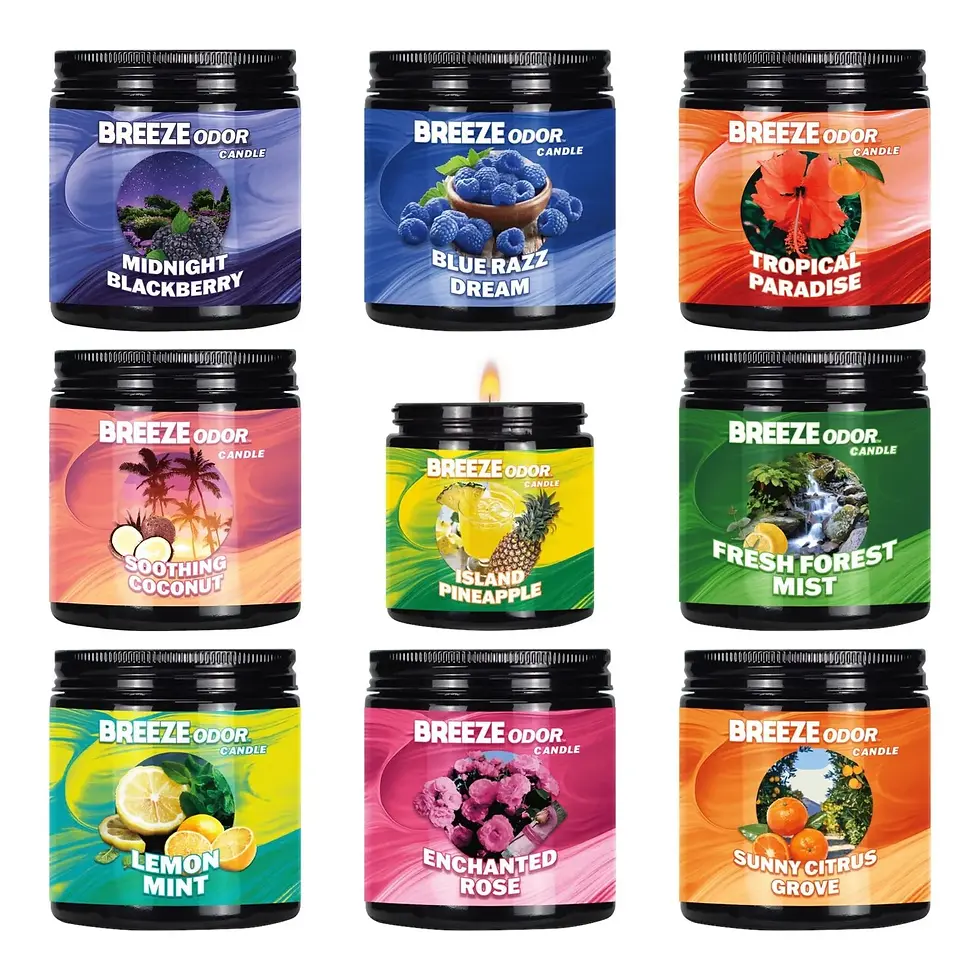 Thumbnail: Breeze Odor 13oz Candle