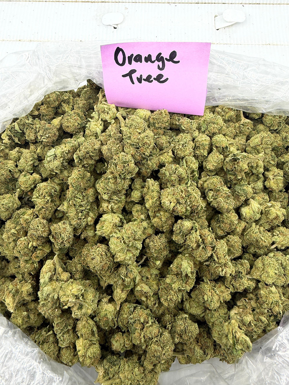 Thumbnail: Legends Orange Tree Flower Strain