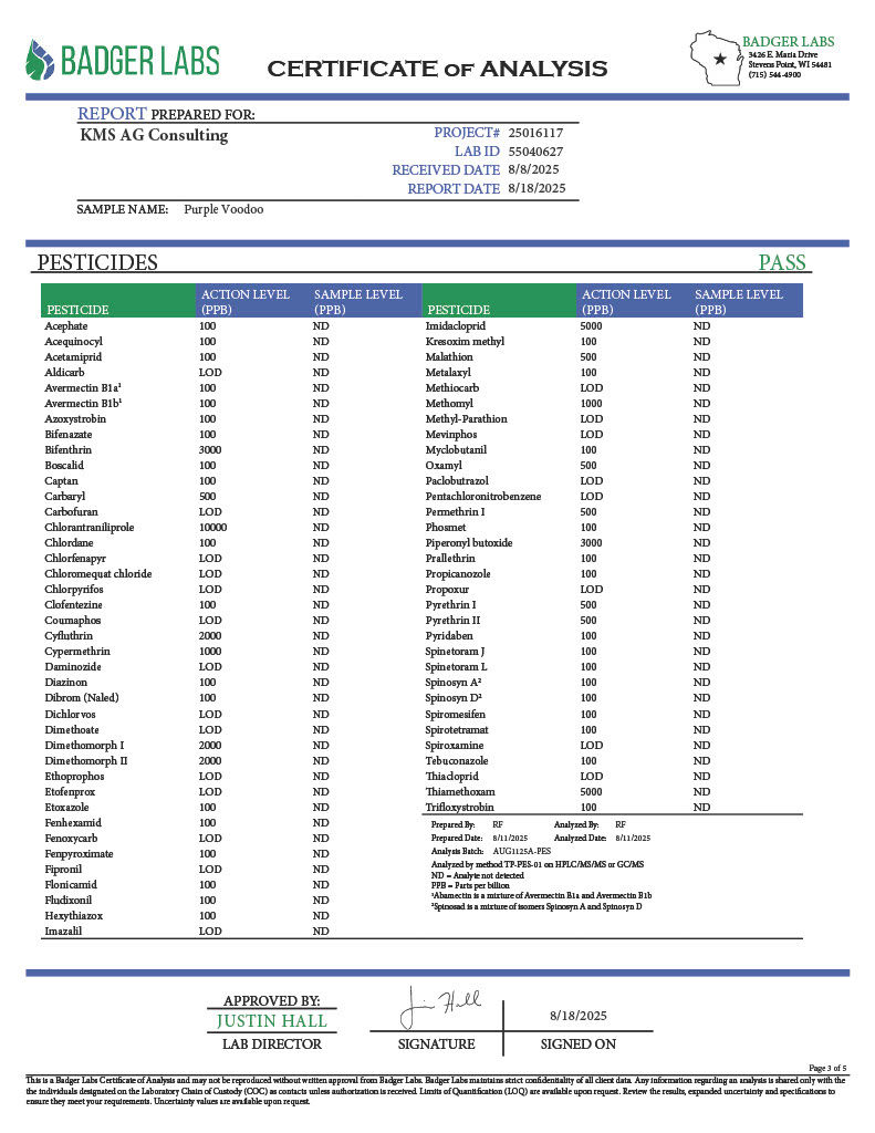 Thumbnail: Legends Purple Voodoo Flower Strain