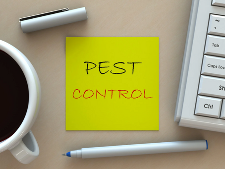 The Essential Overview to Picking the Right Pest Control Operator