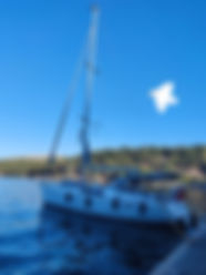1661168456867.jpg