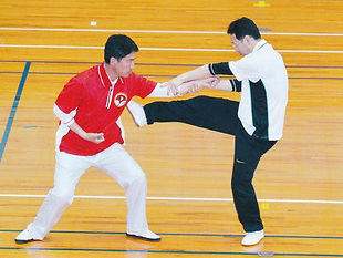 総合形意拳組手