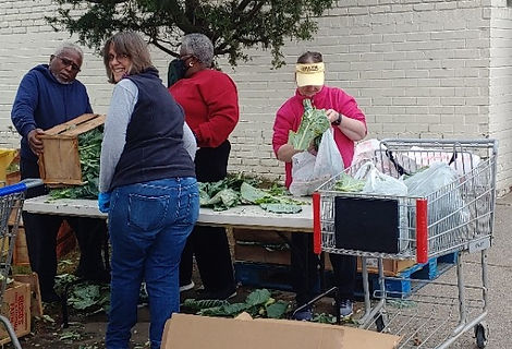 PACKING COLLARDS (2).jpg