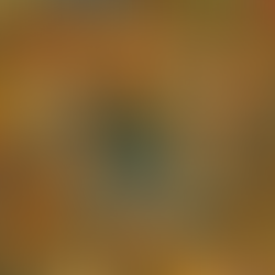 26 for 26 before 2026