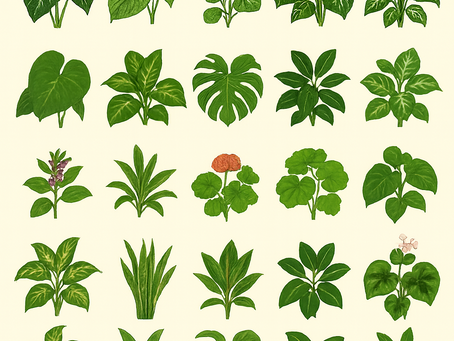 25 Common Houseplants That Are Toxic to Dogs