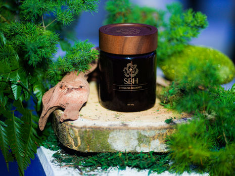 Stingless Bee Factor Launches First Certified Stingless Bee Honey