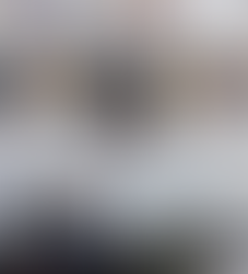 Taste of the NFL review