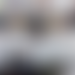 Taste of the NFL review