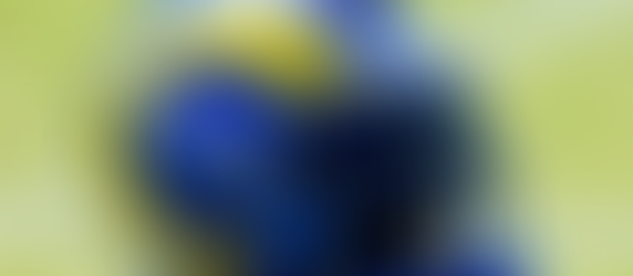 Rams' drafting for the future