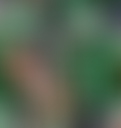 Eagles scraped and clawed their way to a 10-7 victory over the Packers