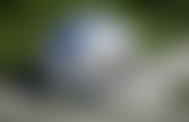 The ghosts of mistakes came back and haunted the Cowboys, as they suffer another defeat