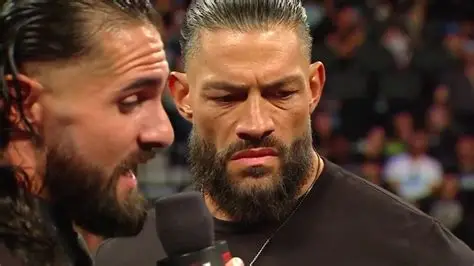 Roman Reigns and Seth Rollins storyline conclude with a banger