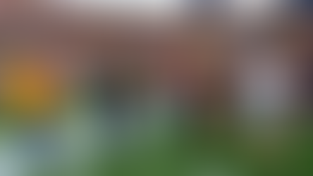 ASU fined for storming the field