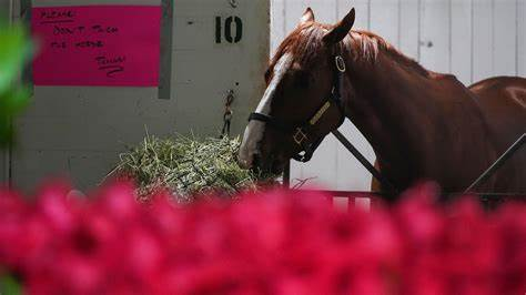 Kentucky Derby 149 viewership broke records